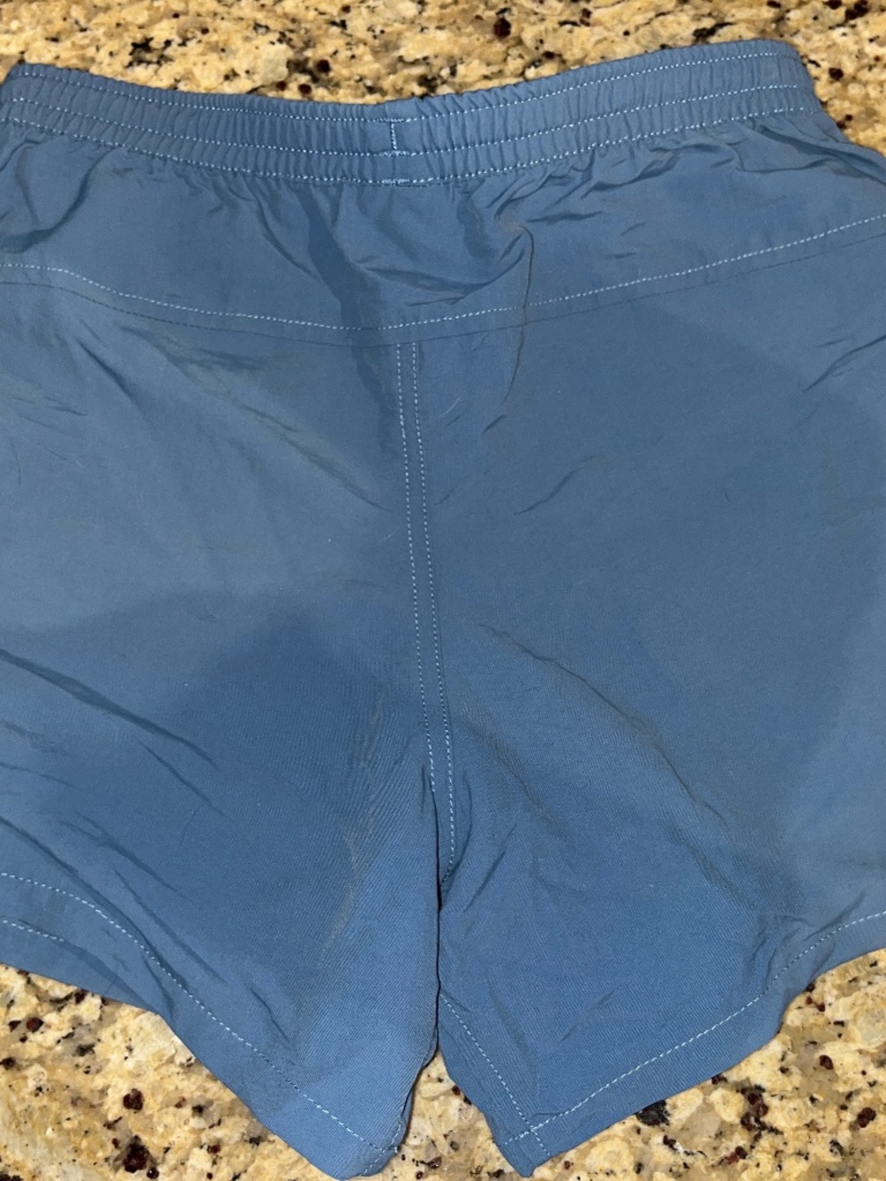 Patagonia Baggies Shorts